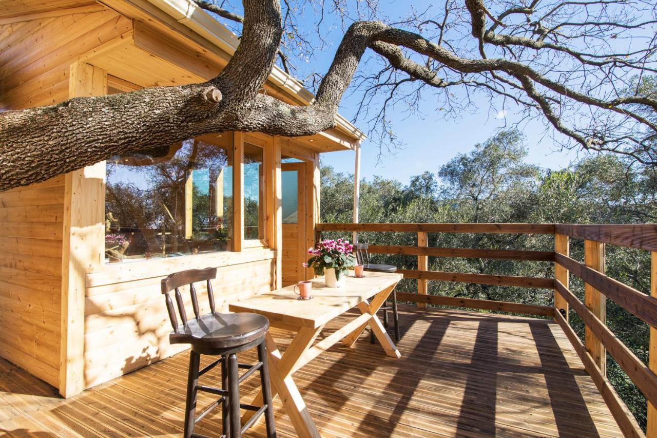 Romantic Tree House Kato Pavliana Exterior photo