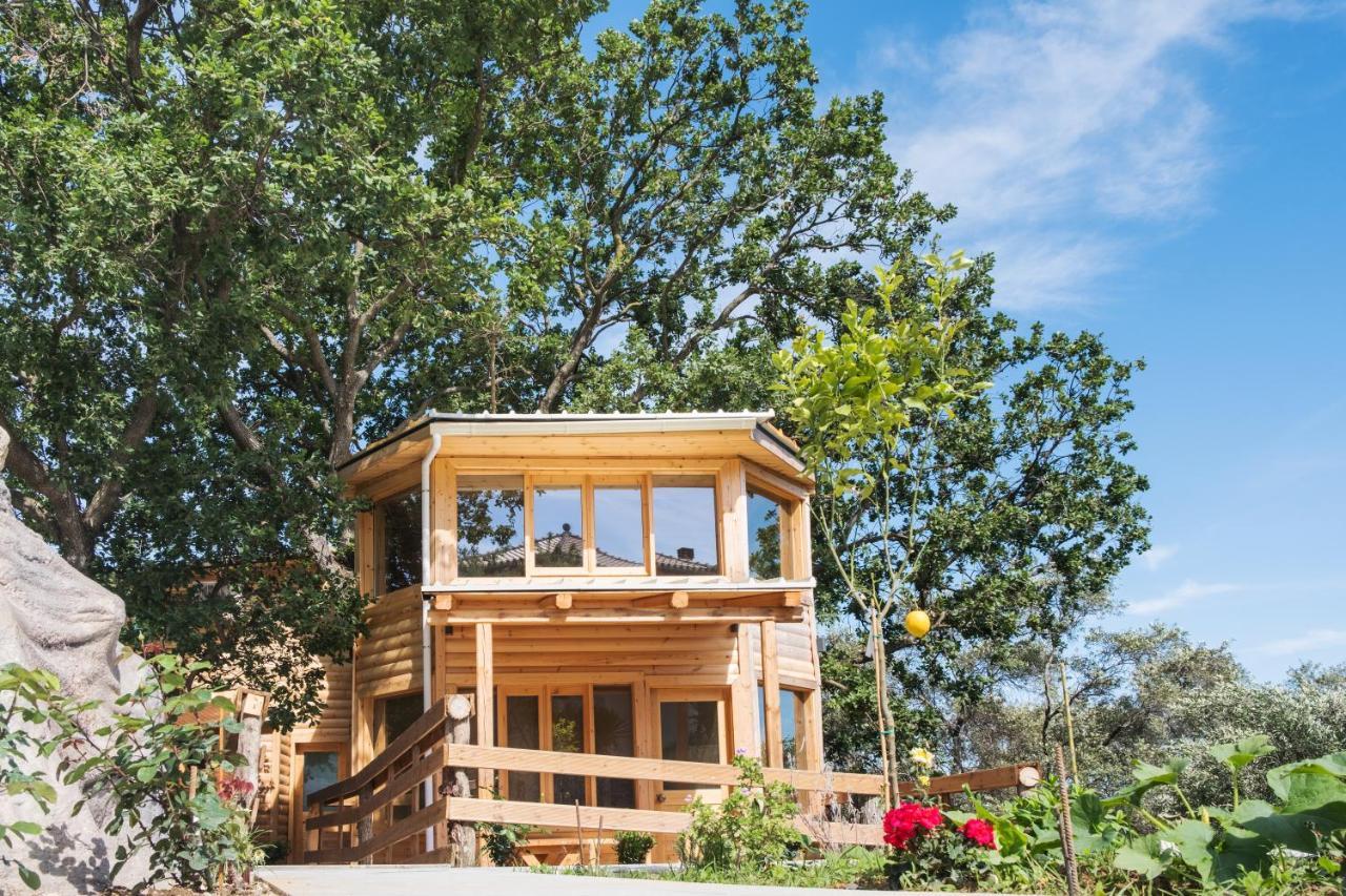 Romantic Tree House Kato Pavliana Exterior photo